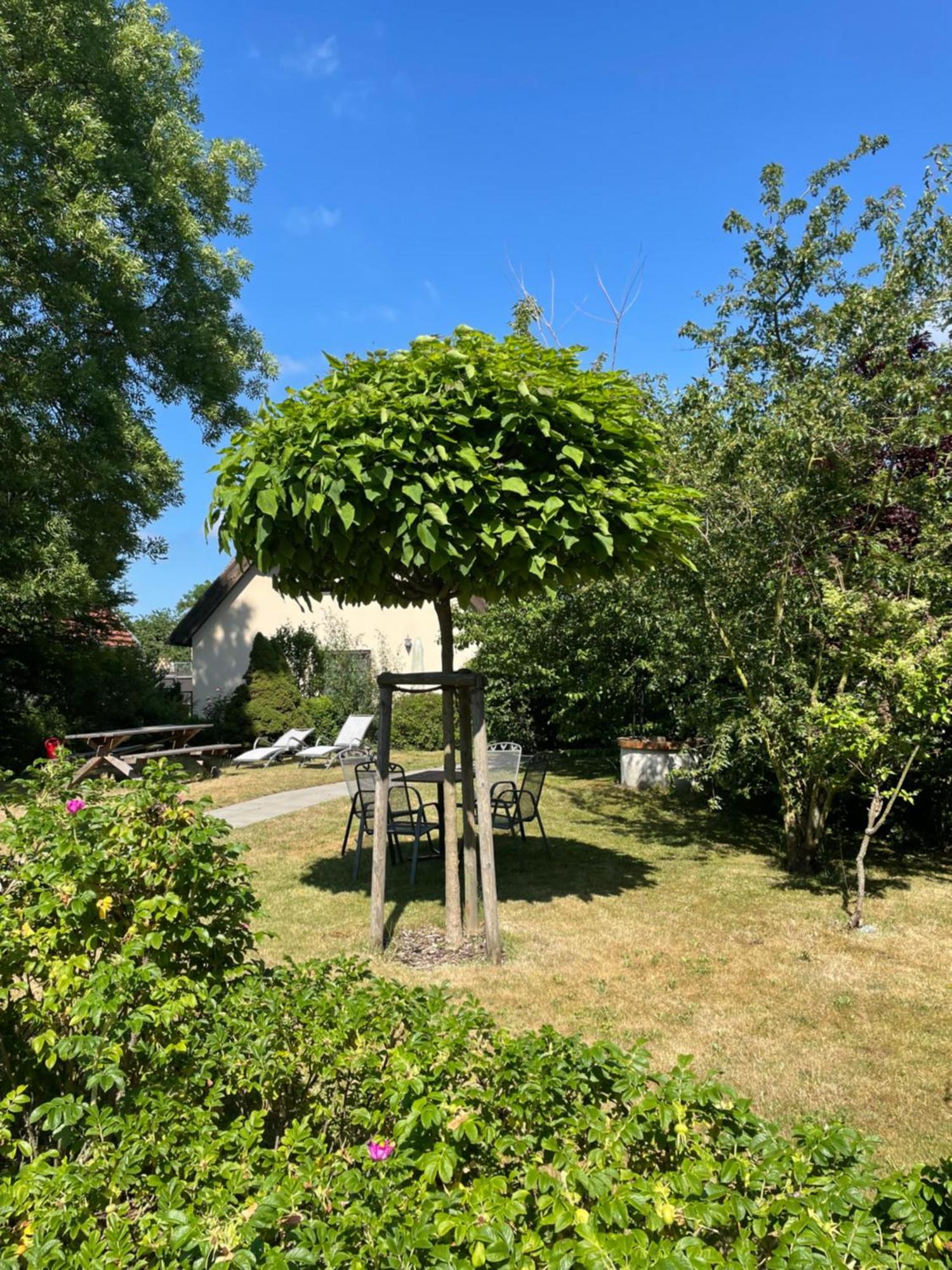 Fischerhus In Krummin - Nur Fuer Urlauber Экстерьер фото